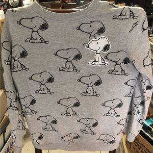 Peanuts XS Gray Knit Top